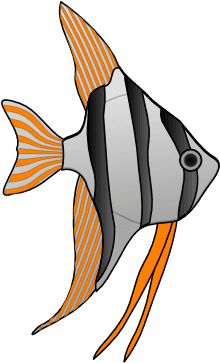 Fish With Orange Stripes Clip Art At Clker - Cartoon Angel Fish - Transparent PNG Free Download | PNGio