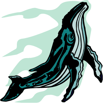 Migration Is An Amazing Journey - Fish - Transparent PNG Free Download | PNGio