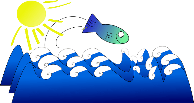 Marine Fish, Ocean, Sun, Happy, Animal, Cute, Funny, - Fish - Transparent PNG Free Download | PNGio