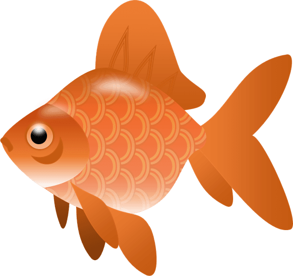 Ocean Clipart Orange Color - Fish Clip Art Png Transparent - Transparent PNG Free Download | PNGio