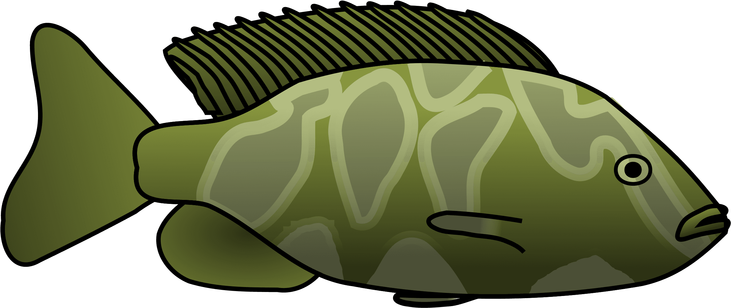 Giraffe Cichlid - Clipart Fish In Lake - Transparent PNG Free Download | PNGio