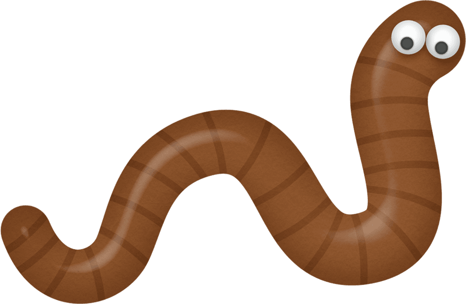 Worm - Fishing - Transparent PNG Free Download | PNGio