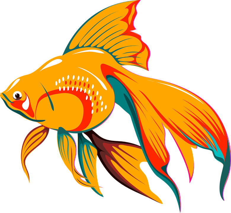 Fish Asian Tail Golden Exotic Tropical Fin - Fish Clipart Vector - Transparent PNG Free Download | PNGio