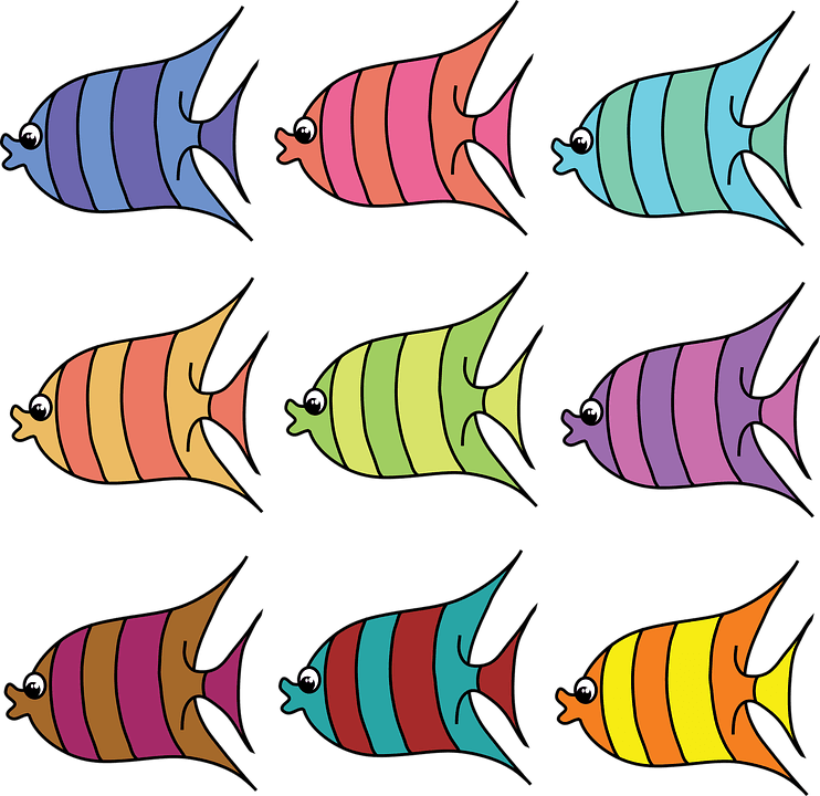 Quail Hunting Cliparts 29, Buy Clip Art - Printable Colored Fish - Transparent PNG Free Download | PNGio