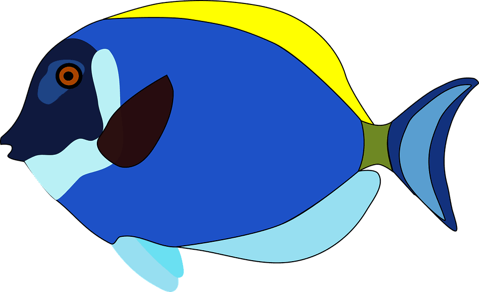 River Cliparts 14, Buy Clip Art - Clown Fish Cartoon - Transparent PNG Free Download | PNGio