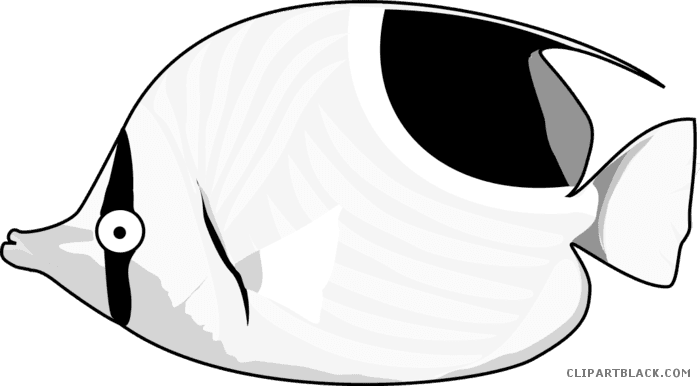 Tropical Fish Animal Free Black White Clipart Images - Fish - Transparent PNG Free Download | PNGio