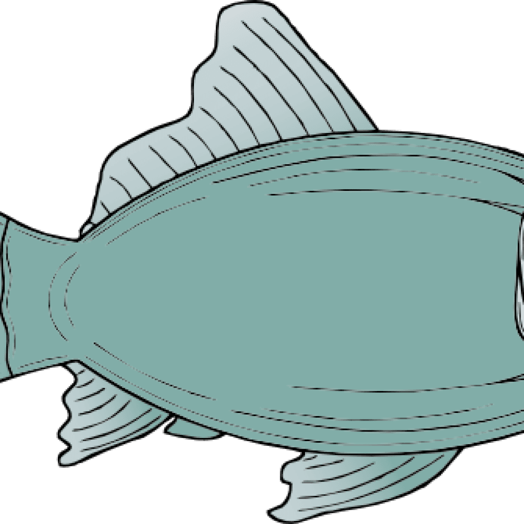 Free Fish Clipart Generic Fish Clip Art Free Vector - Fish Clip Art - Transparent PNG Free Download | PNGio