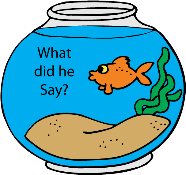 Another Choice - Valentine Fish - Transparent PNG Free Download | PNGio