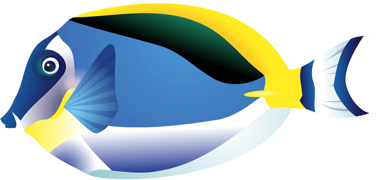 Aquarium Fish Amphiprion Percula Clip Art At Mzayat - Tropical Fish Drawing Png - Transparent PNG Free Download | PNGio