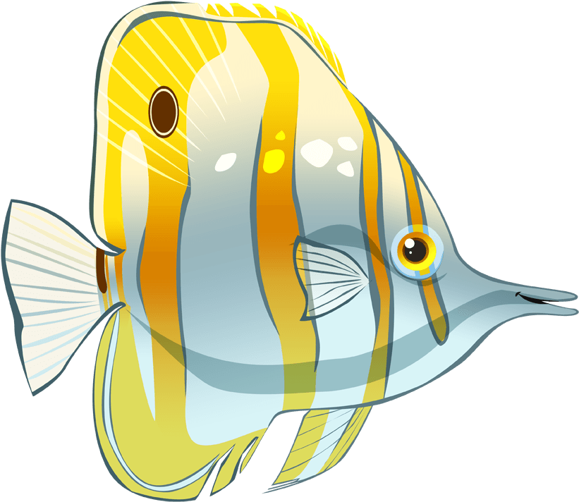 Chelsea Loren Edwards - Tropical Fish - Transparent PNG Free Download | PNGio