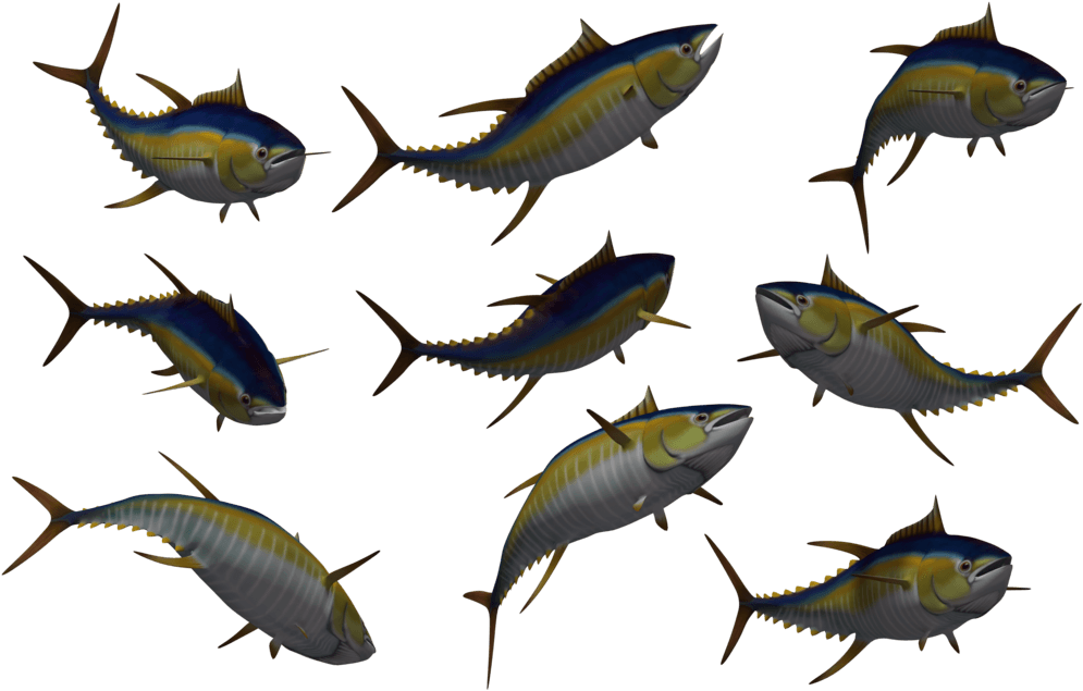 Fish Set 05 By Free Stock By Wayne On Clipart Library - Free Stock Fish - Transparent PNG Free Download | PNGio