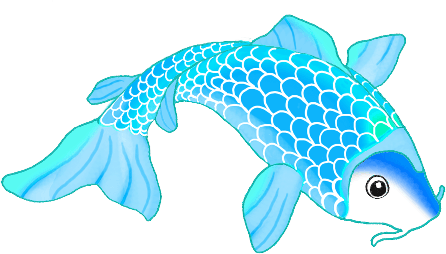Colorful Koi Fish Drawings - Fish Drawing Png - Transparent PNG Free Download | PNGio