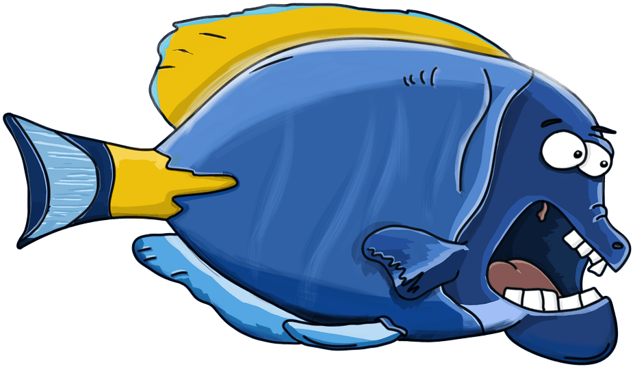 Blue Fish Cliparts 17, Buy Clip Art - Fish - Transparent PNG Free Download | PNGio