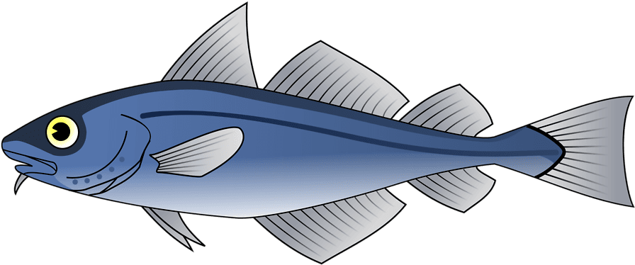 Larger Clipart Small Fish - Custom Blue Fish Shower Curtain - Transparent PNG Free Download | PNGio