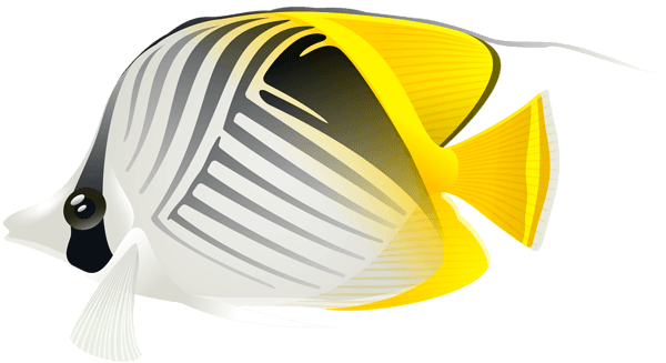 Aquarium Fish Png Clip Art - Aquarium Fish Png - Transparent PNG Free Download | PNGio