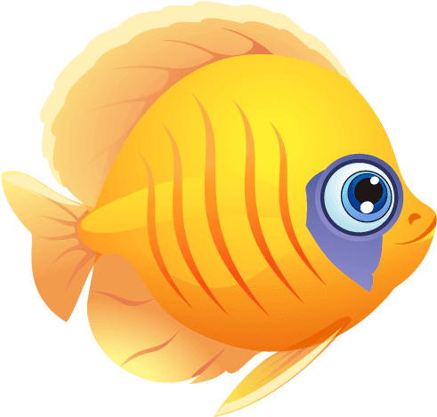 Fish Png - Transparent PNG Free Download | PNGio