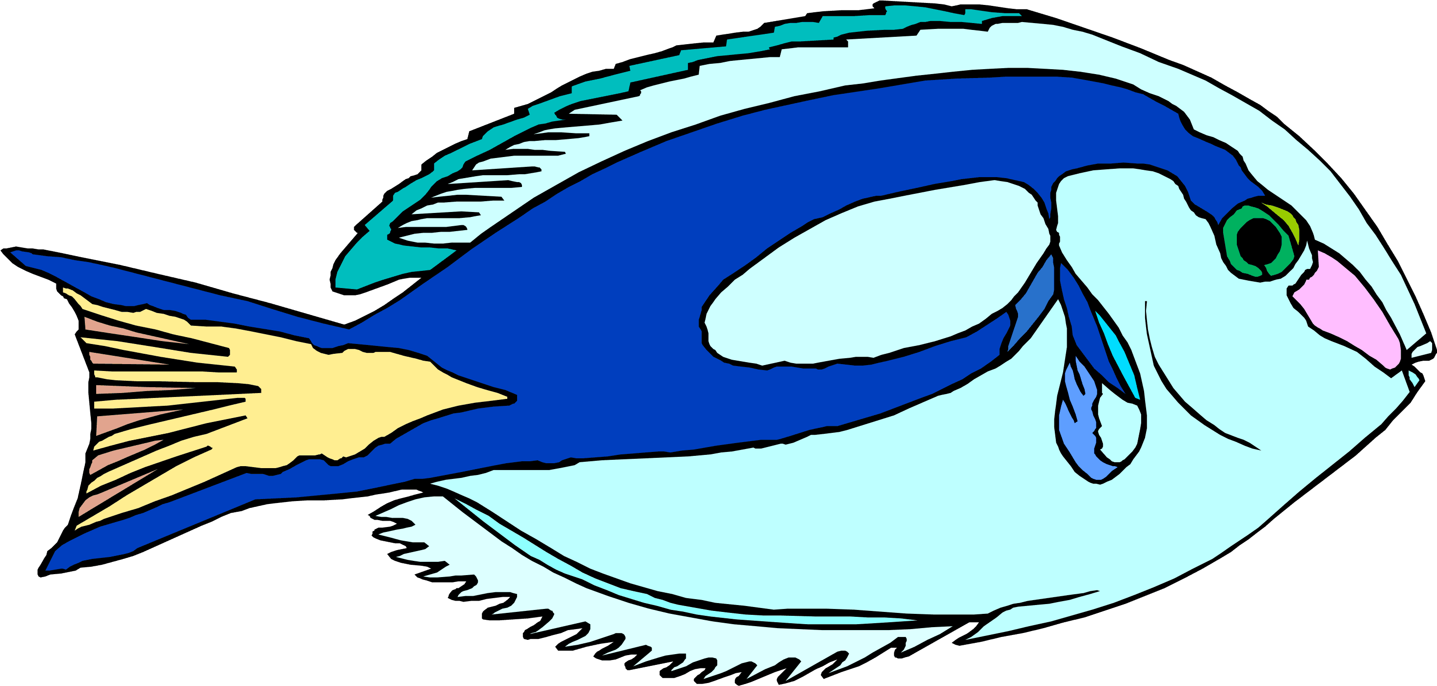 Download - - Ornamental Fish - Transparent PNG Free Download | PNGio