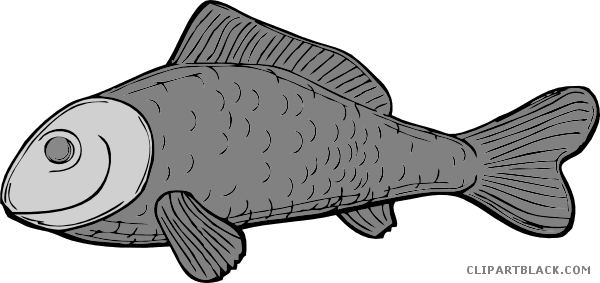 Cartoon Fish Animal Free Black White Clipart Images - Green Fish Shower Curtain - Transparent PNG Free Download | PNGio