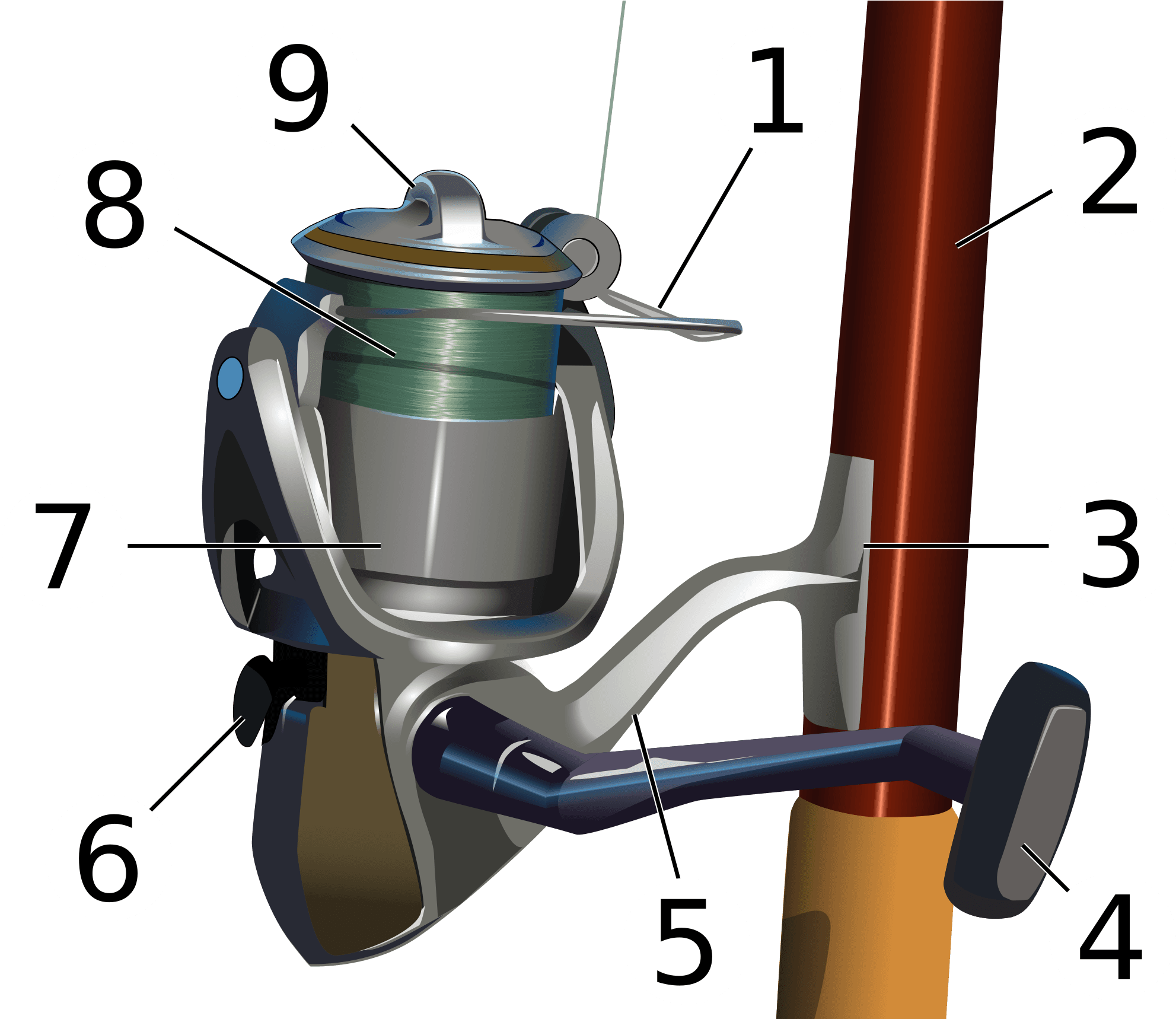 Open - Parts Of A Fishing Reel - Transparent PNG Free Download | PNGio