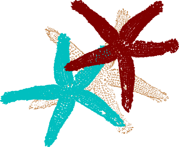 Small - Fish Clip Art - Transparent PNG Free Download | PNGio