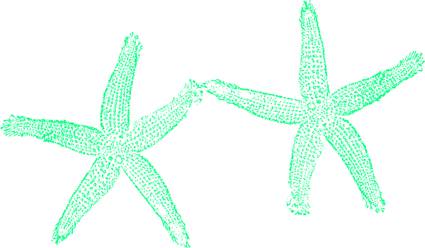 Fish Clip Art - Transparent PNG Free Download | PNGio