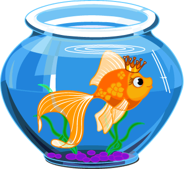 Wall Colour - Fish Inside The Aquarium - Transparent PNG Free Download | PNGio