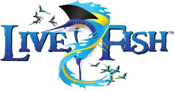 Fish - Fish - Transparent PNG Free Download | PNGio