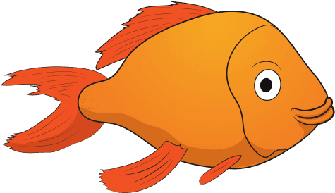 Blogpost Psu Questions - Garibaldi (fish) - Transparent PNG Free Download | PNGio