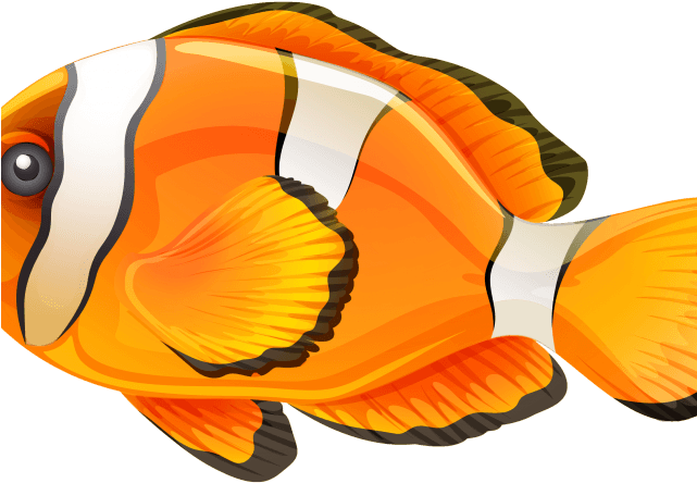 Butterflyfish Clipart Clown Fish - Fish .png - Transparent PNG Free Download | PNGio