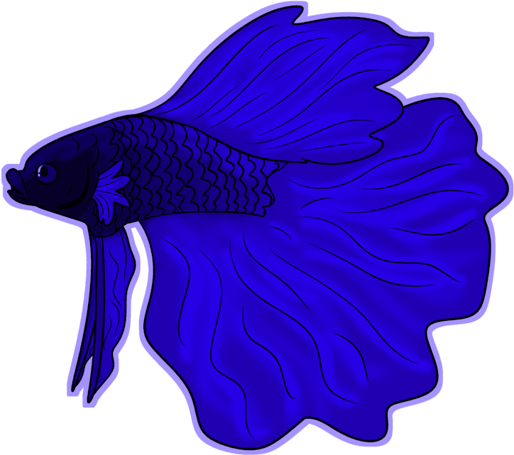 Betta Fish By Bearhugbooyah - Garibaldi (fish) - Transparent PNG Free Download | PNGio