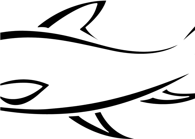 Fish Line Art - Fish Line Drawing Png - Transparent PNG Free Download | PNGio