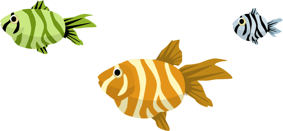 Image Description - Coral Reef Fish - Transparent PNG Free Download | PNGio