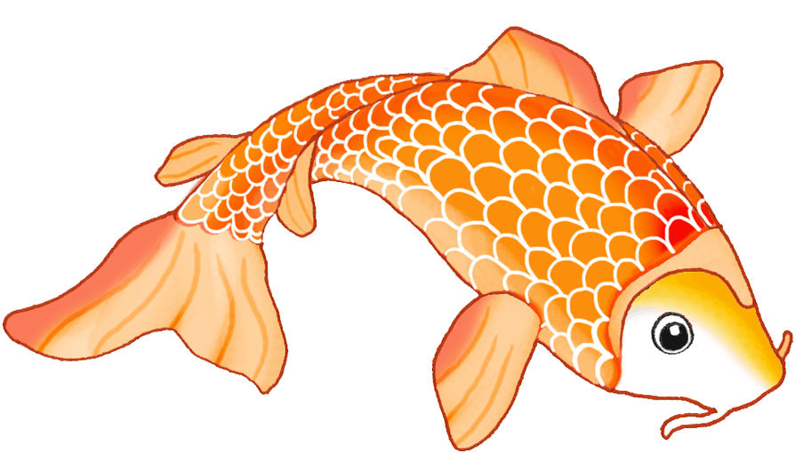 Sketch Of Orange Koi Fish - Koi Fish Drawing - Transparent PNG Free Download | PNGio