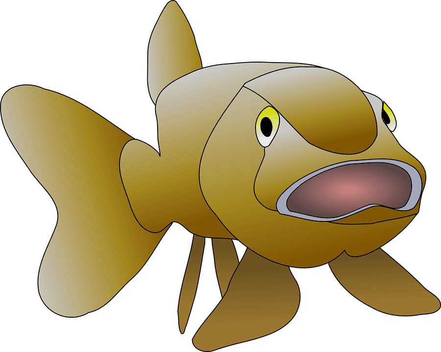 Cute Goldfish Cliparts 24, - Brown Fish - Transparent PNG Free Download | PNGio