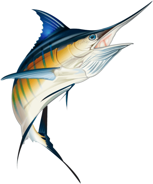 So Don't Wait, Contact Me Now And Let's Make You A - Marlin Fish For Stickers - Transparent PNG Free Download | PNGio