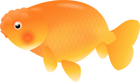 Gold Fish Orange Ranchu Royalty Free Clip Art A Small - Clipart Fish Orange Transparent Background - Transparent PNG Free Download | PNGio