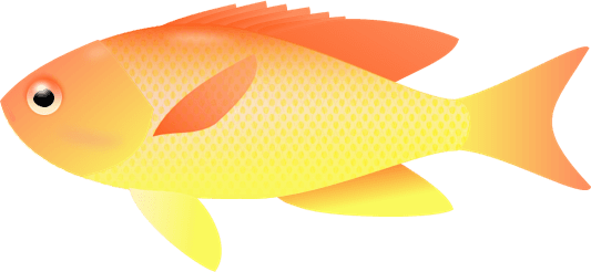 Transparent Fish Clipart - Transparent Background Fishes Clipart - Transparent PNG Free Download | PNGio