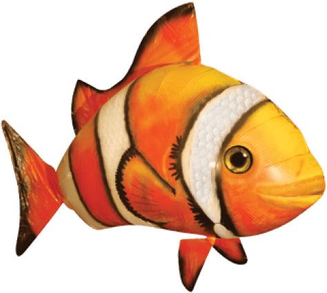 Air Swimmer - Clownfish - Air Swimmer Remote Control Flying Fish - Transparent PNG Free Download | PNGio