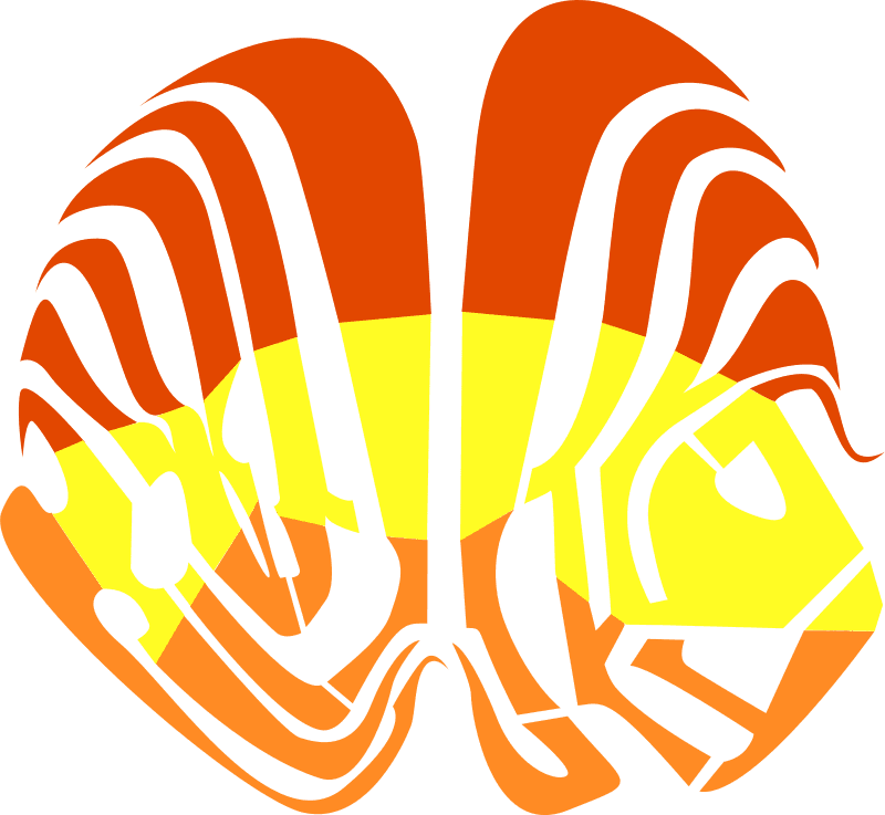 Free Flugi Lugi - Fish - Transparent PNG Free Download | PNGio