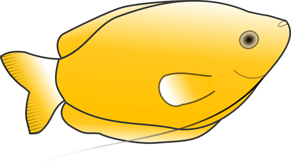Animal Scale Cliparts - Clip Art Yellow Fish - Transparent PNG Free Download | PNGio