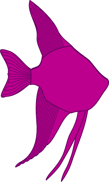 Angelfish Silhouette - Photo - Cartoon Angel Fish Clipart - Transparent PNG Free Download | PNGio