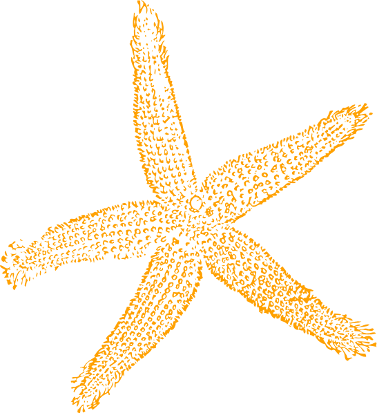 Sandy Starfish Clip Art At Clker - Fish Clip Art - Transparent PNG Free Download | PNGio