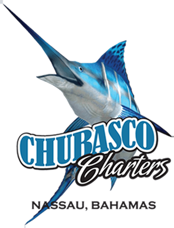 Ghana Blue Marlin Fishing Charters - Transparent PNG Free Download | PNGio