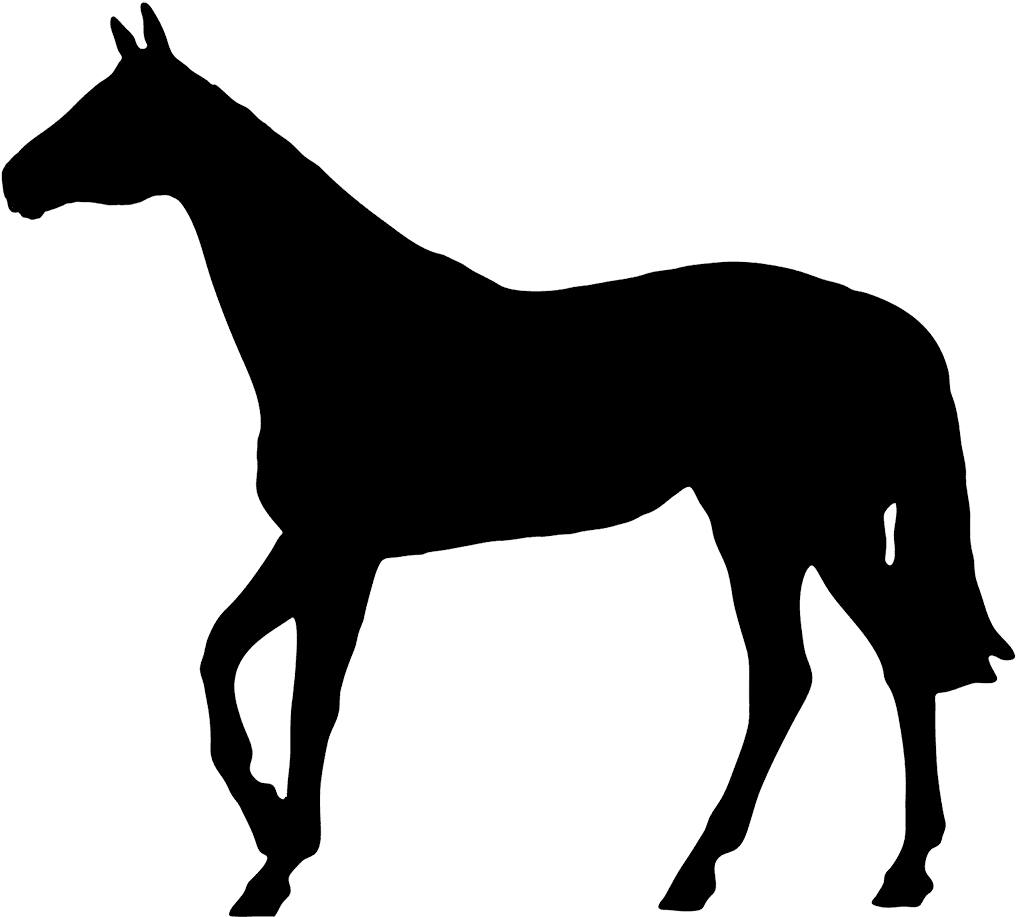 Horse Black Silhouette - Horse Silhouette No Background - Transparent PNG Free Download | PNGio