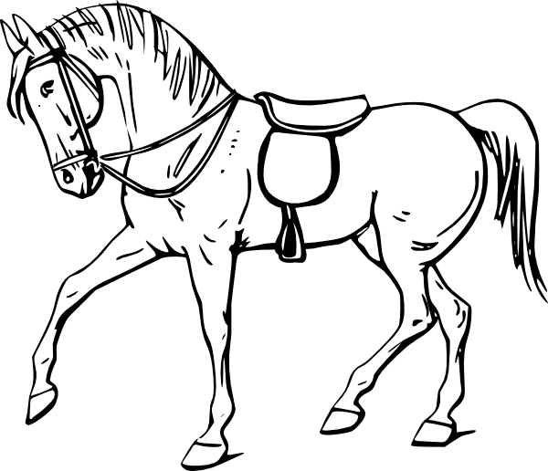 Walking Horse Outline Clip Art - Outline Picture Of Horse - Transparent PNG Free Download | PNGio