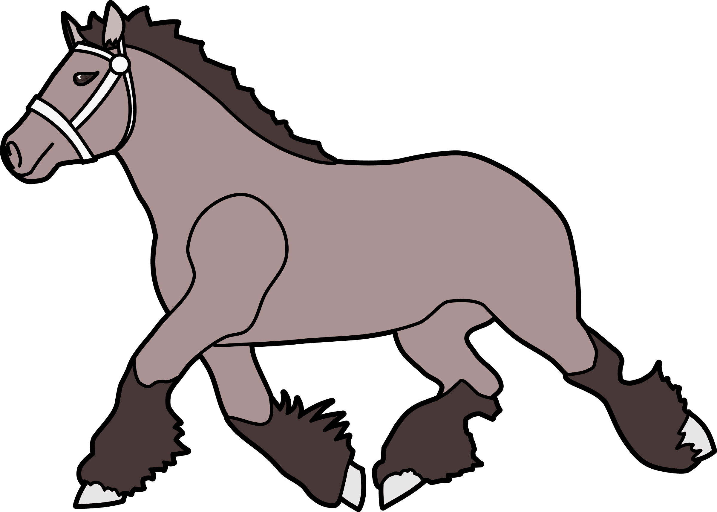 Free Horse - Brown Clydesdale Horse Shower Curtain - Transparent PNG Free Download | PNGio