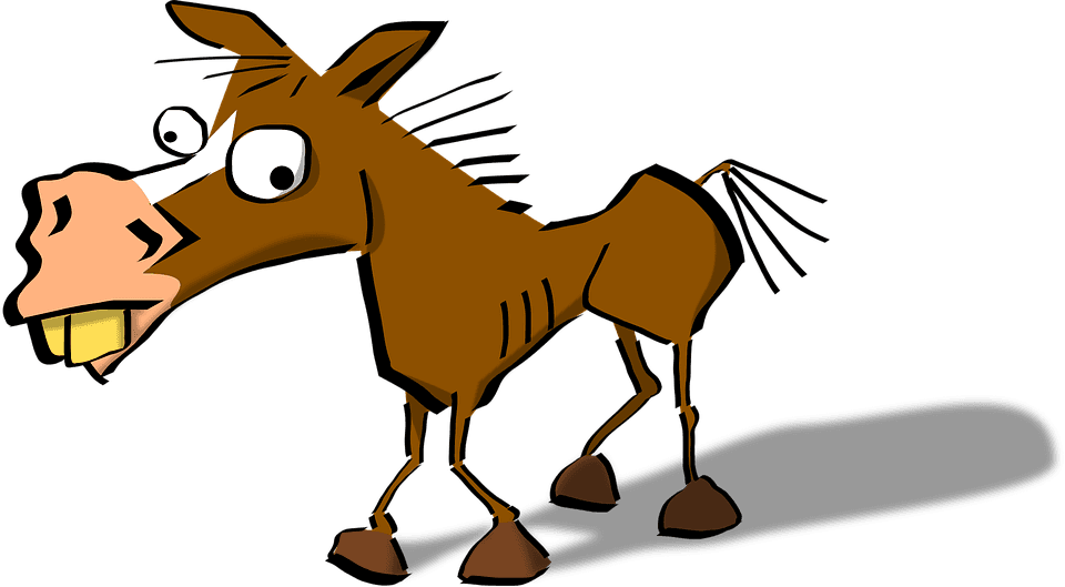 Medium Image - Funny Horse Clip Art - Transparent PNG Free Download | PNGio