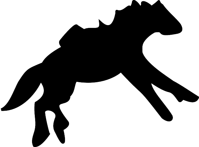 Mammal Silhouette, Farm, Horse, Running, Animal, Mammal - Horse - Transparent PNG Free Download | PNGio