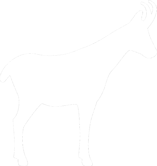 Organisation Und Begleitung Einer Individuellen Filmproduktion - Horse - Transparent PNG Free Download | PNGio