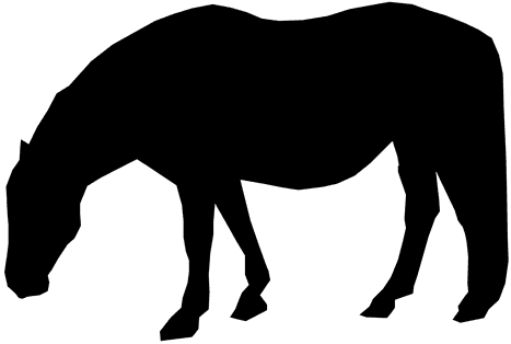 Kontur, Pferd, Feld, Reiten, Dressur - Horse - Transparent PNG Free Download | PNGio